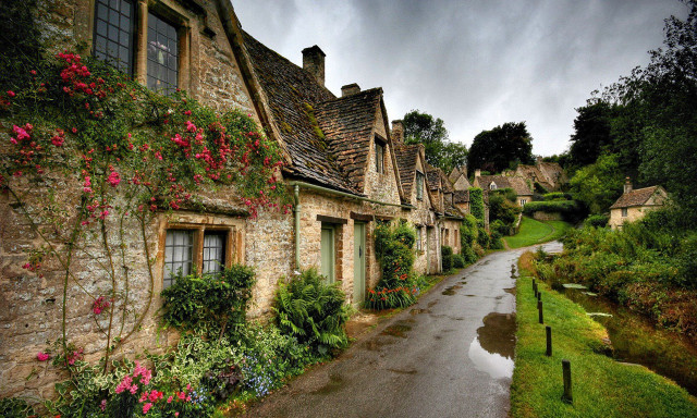 Street houses flowers growing wet free wallpaper for desktop - medium preview image