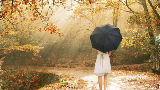 Woman white dress umbrella forest free wallpaper for desktop - medium preview image