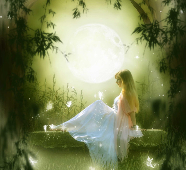 Woman dress forest moon butterfly free wallpaper for tablet - medium preview image