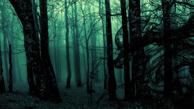 Dark forest trees leaves snake free wallpaper for desktop - medium preview image