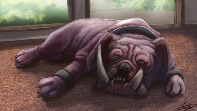 Dog laying floor head collar free wallpaper for desktop - medium preview image