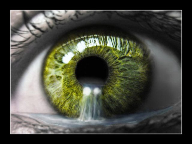 Green eye water iris black free wallpaper for desktop - medium preview image