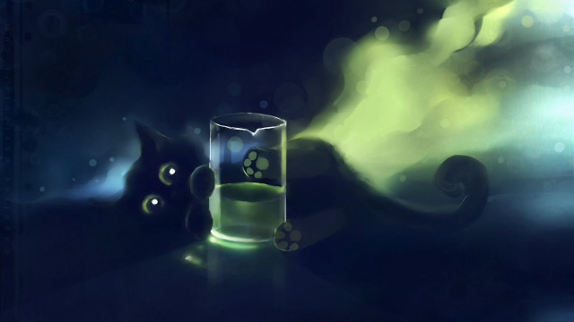 Glass cat table paw next free wallpaper for desktop - medium preview image