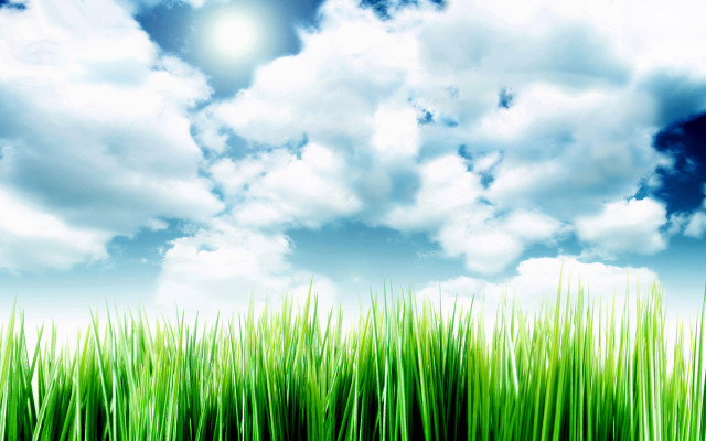 Field grass sun sky clouds free wallpaper for desktop - medium preview image