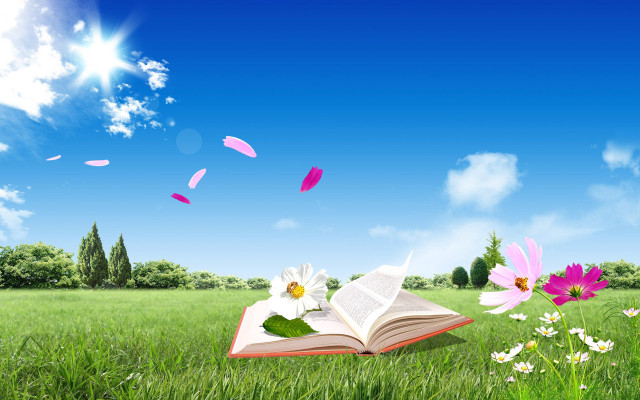 Open book grassy field daisies free wallpaper for desktop - medium preview image