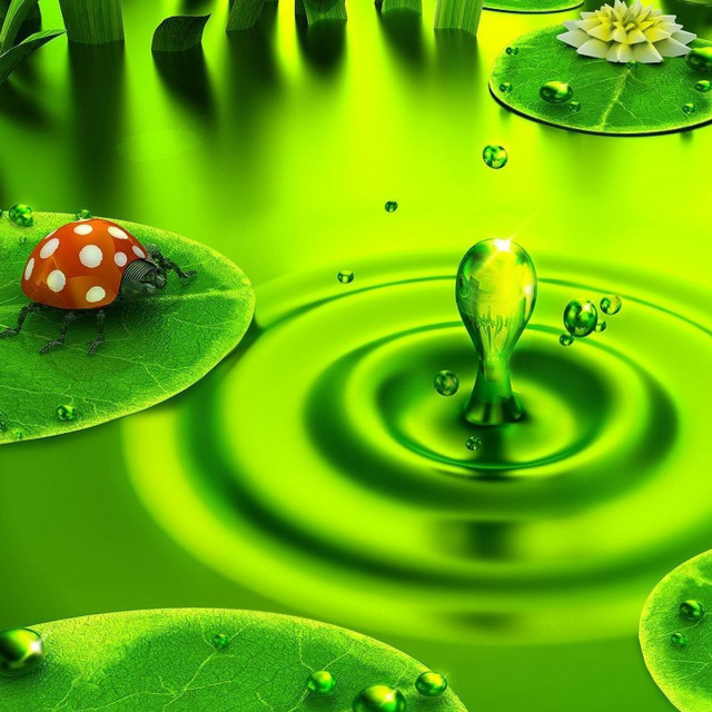 Green ladybug lily pads water free wallpaper for tablet - medium preview image
