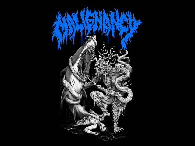 Black blue shirt shark attacking free wallpaper for desktop - medium preview image