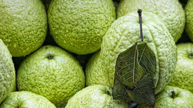 Green fruit pile leaf top free wallpaper for desktop - medium preview image