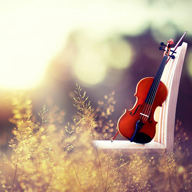 Violin window sill grass weeds free wallpaper for tablet - medium preview image