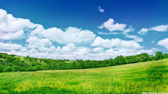 Blue sky clouds green field free wallpaper for desktop - medium preview image