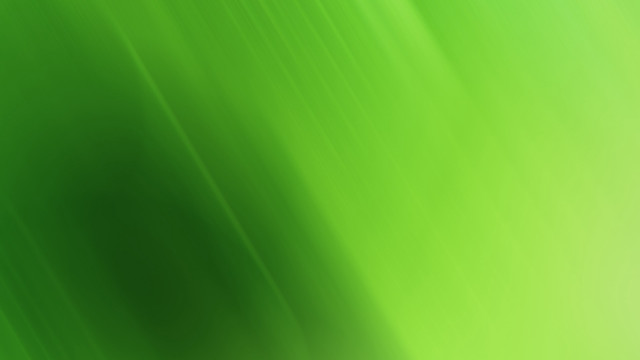 Green blurry lines background effect free wallpaper for desktop - medium preview image