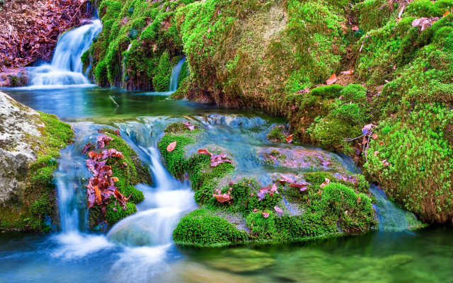 Small waterfall green forest mossy free wallpaper for desktop - medium preview image