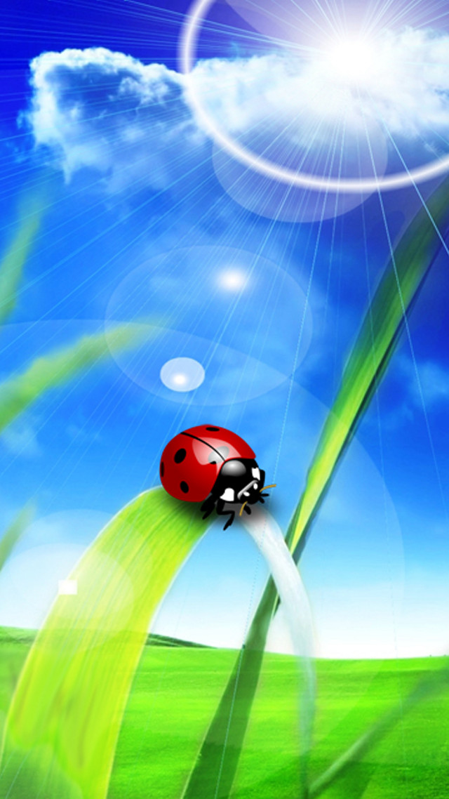 Ladybug green grass blue sky free wallpaper for mobile - medium preview image
