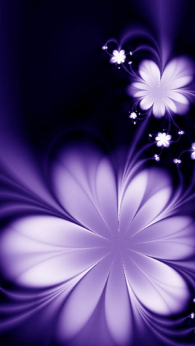 Purple flower white petals black #3 free wallpaper for mobile - medium preview image