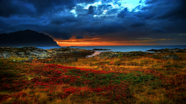 Field mountain water red flower free wallpaper for desktop - medium preview image