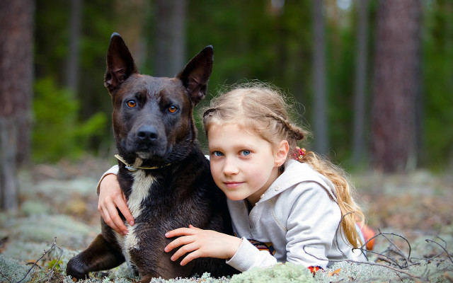 Girl dog lying grass woods free wallpaper for desktop - medium preview image