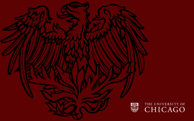 Black red eagle chicago wings free wallpaper for desktop - medium preview image
