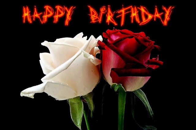 Roses happy birthday gothic fire free wallpaper for desktop - medium preview image