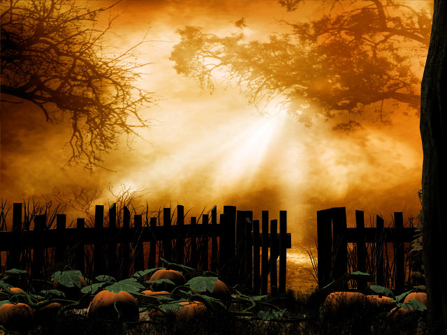 Fence pumpkins foggy sky sunbeam free wallpaper for desktop - medium preview image
