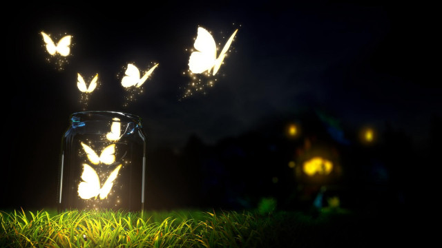 Jar butterflies flying nighttime grass free wallpaper for desktop - medium preview image