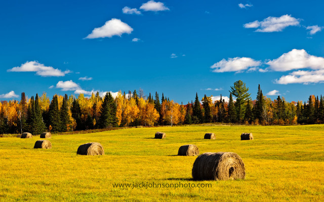Hay bales autumn foliage trees free wallpaper for desktop - medium preview image