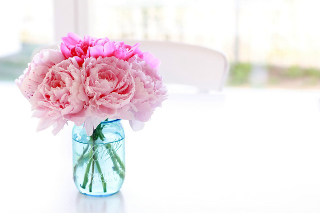 Vase pink flowers table white free wallpaper for desktop - medium preview image