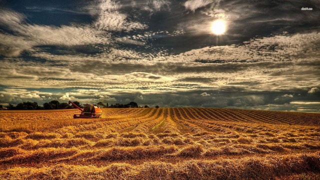 Tractor driving field hay cloudy free wallpaper for desktop - medium preview image