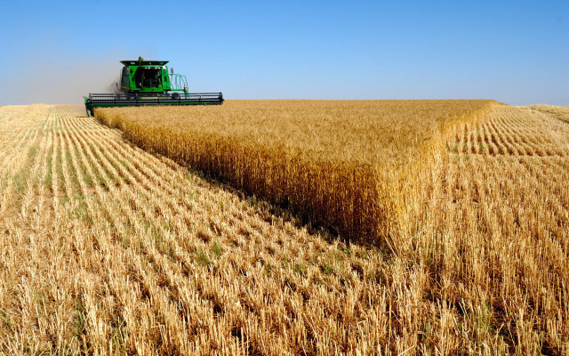 Combine harvesting wheat field tractor free wallpaper for desktop - medium preview image