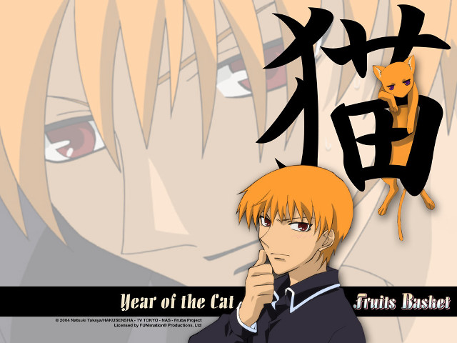 Man orange hair cat on free wallpaper for desktop - medium preview image