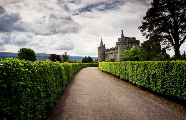 Road castle hedge lined path free wallpaper for desktop - medium preview image