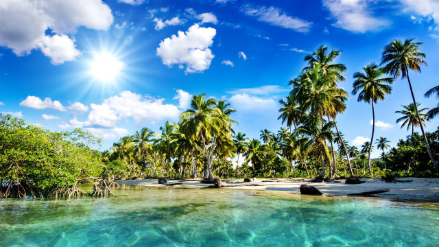 Tropical beach palm trees clear #7 free wallpaper for desktop - medium preview image