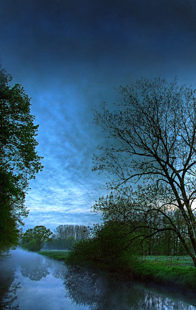 Tree river night blue sky free wallpaper for mobile - medium preview image