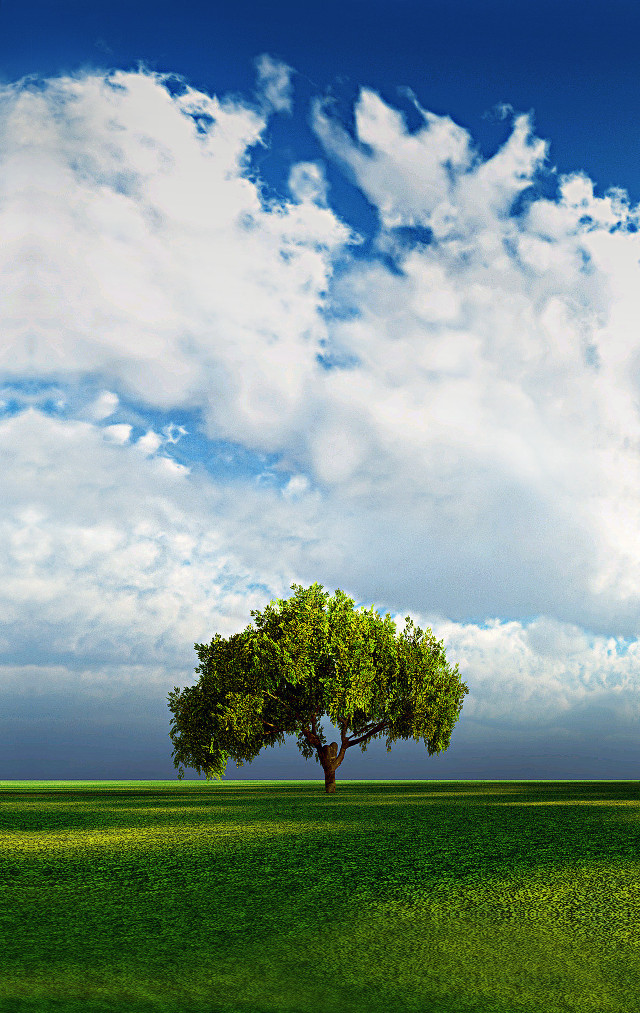 Lone tree green field cloudy #2 free wallpaper for mobile - medium preview image