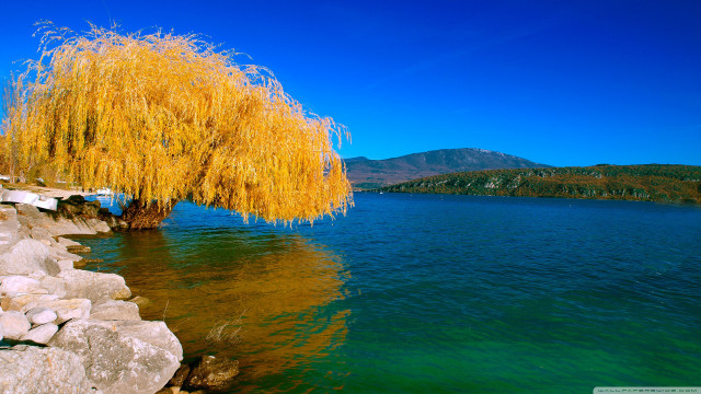 Tree water mountain blue sky free wallpaper for desktop - medium preview image