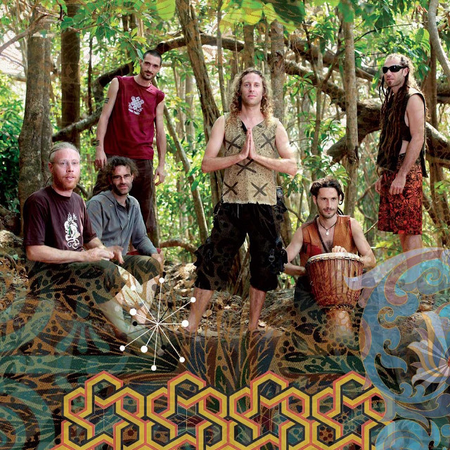 Group people woods trees plants free wallpaper for tablet - medium preview image