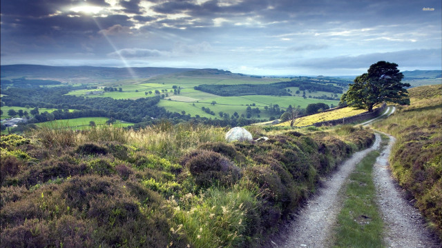 Dirt road lush green countryside free wallpaper for desktop - medium preview image