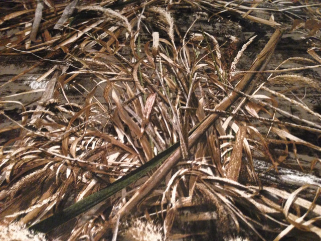 Dead plants field grass dirt free wallpaper for desktop - medium preview image