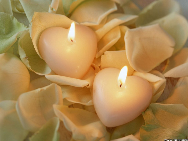 Candles flower arrangement leaves petals free wallpaper for desktop - medium preview image