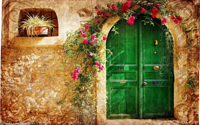 Green door flower vine potted free wallpaper for desktop - medium preview image