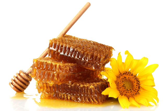 Honey comb sunflower white background free wallpaper for desktop - medium preview image