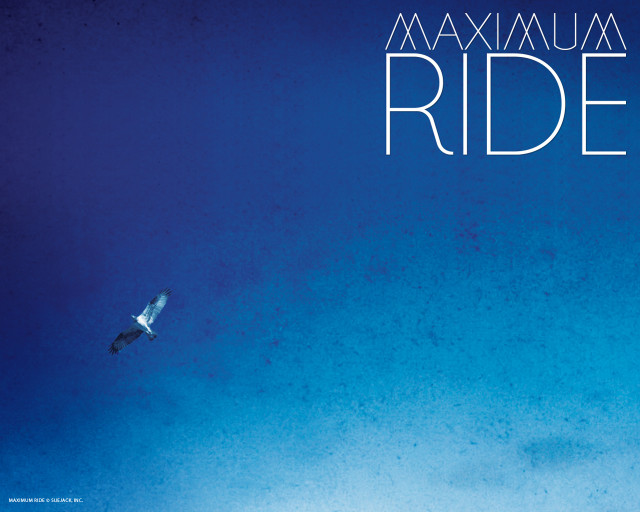 Bird flying blue sky maximum free wallpaper for desktop - medium preview image
