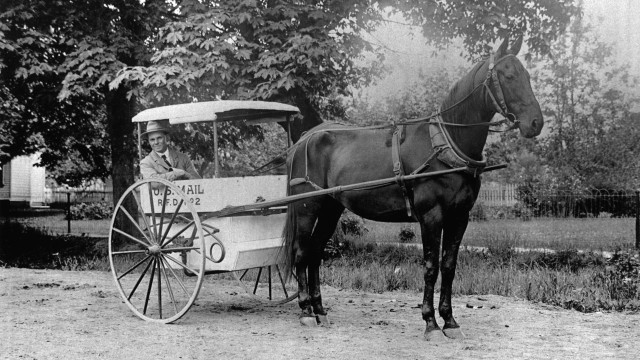 Man carriage park trees grass free wallpaper for desktop - medium preview image