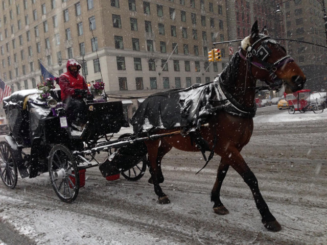 Horse drawn carriage snowy street free wallpaper for desktop - medium preview image