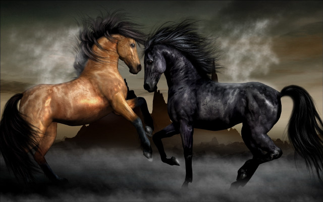 Two horses running cloudy sky free wallpaper for desktop - medium preview image