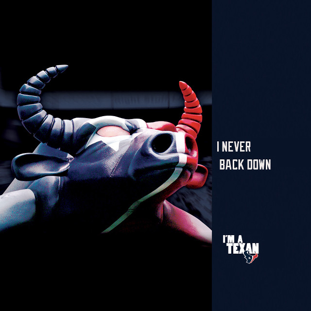 Bull horns name tag poster free wallpaper for tablet - medium preview image