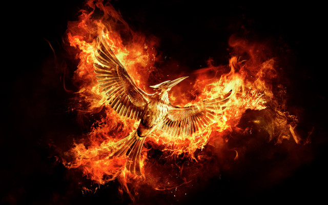 Bird flying fire wings spread free wallpaper for desktop - medium preview image