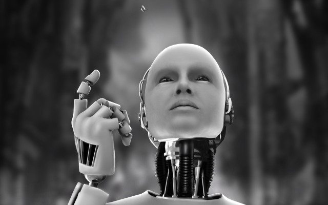 Robot holding object looking up free wallpaper for desktop - medium preview image