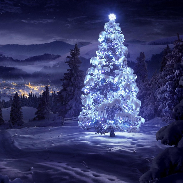 Lit christmas tree snowy night #2 free wallpaper for tablet - medium preview image