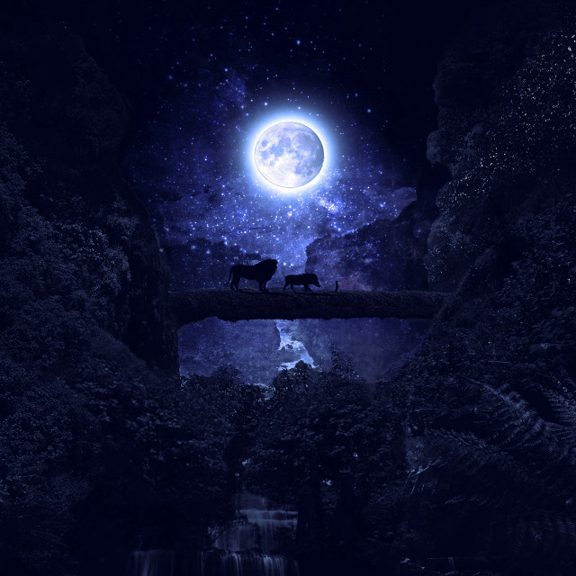 Animals bridge full moon waterfall free wallpaper for tablet - medium preview image