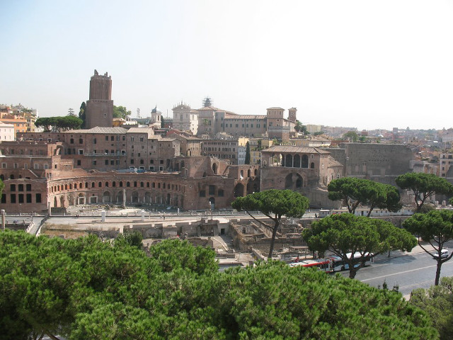 City buildings trees street bus free wallpaper for desktop - medium preview image